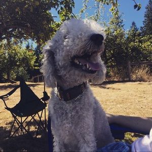 Meet your Posher, Ava